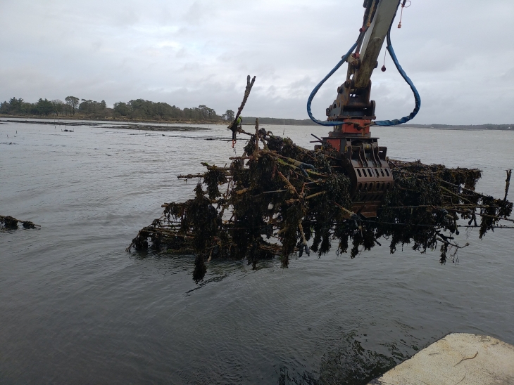 Nettoyage de parcs_4.jpg